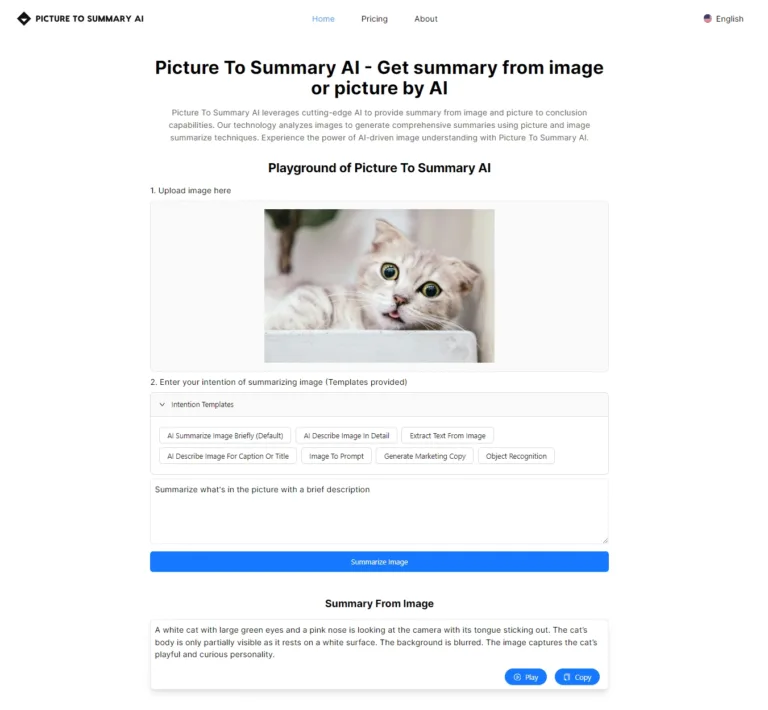 Picture To Summary AI showcase cat 768x710